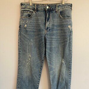 Pilcro x Antrhopologie High Waist Distressed Mom Jeans